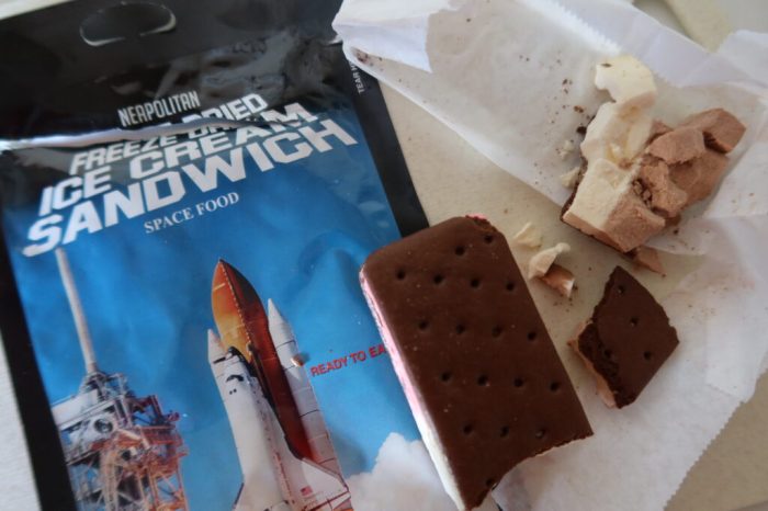 Space Food Ice Cream Sandwich Out of This World