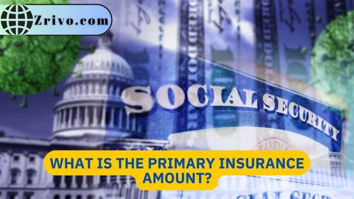 What is primary dental insurance
