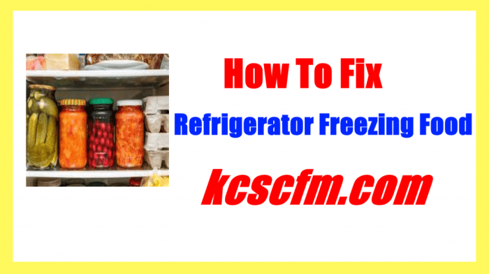 Why Does My Fridge Freeze Food?  Fridge Fixes!