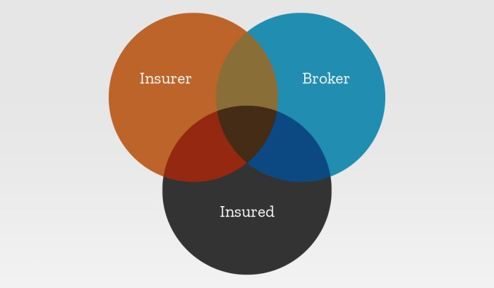 Insurer insured What is a stock insurer